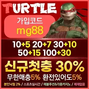 터틀벳
